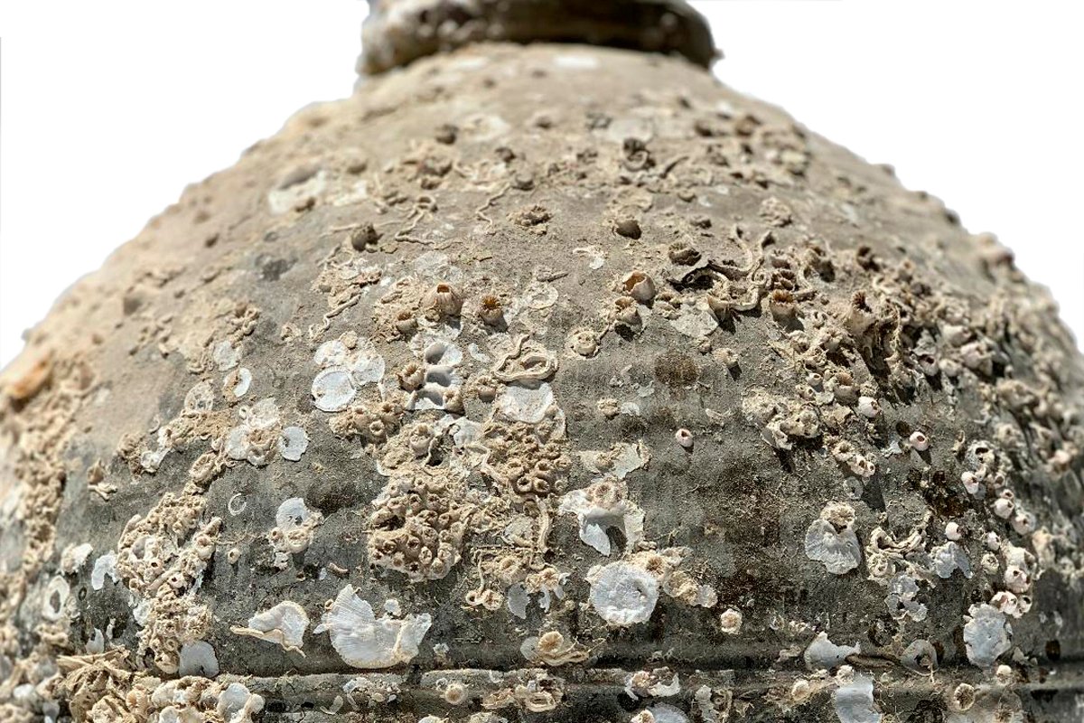 Large Antique Storage Jars with Marine Adhesions